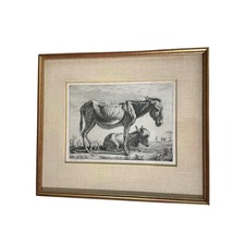 Jean-Jacques de Boissieu 1797 Jenny With Its Foal Antique French Engraving picture