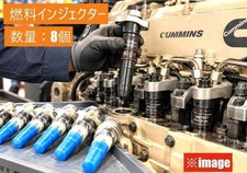 NOS 8pcs genuine Cummins Fuel Injector 3087587  for K19 Marine Engines picture