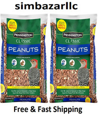 Pennington Shelled Peanuts Wildlife and Wild Bird Food, 5 lb. Bag( 2 Pack) picture
