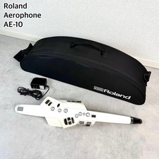Roland Aerophone AE-10 Digital Wind Synthesizer Case Adapter Tested from Japan picture
