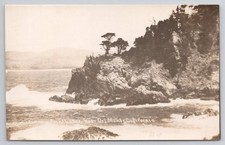 Point Lobos California RPPC Real Photo Postcard Ocean Cliffs Trees Federal Photo picture