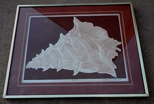 Vintage David Allgood Embossed Serigraph Conch Art Signed COA Framed 1982 picture