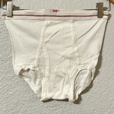 Vtg 1940s 1950s Hanes Junior Sz 34 Fig Leaf Underwear White Cotton Briefs J picture
