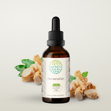 HerbEra Horseradish Alcohol-FREE Tincture, Organic (Armoracia rusticana) picture