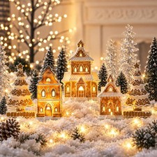 House Christmas picture