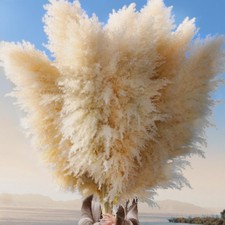 Pasuvsigt 12pcs 40'' Dried Pampas Grass Decor - Tall-Large Pampas Grass - Nat... picture