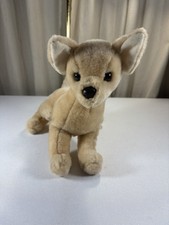 Douglas Chihuahua 