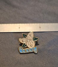 VINTAGE IBEW LOCAL UNION PIN FOR ELECTRICAL WORKERS picture