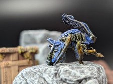 Well painted insectoid/rust monster d&d fantasy miniature picture
