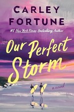 Our Perfect Storm 5 - VERY GOOD picture