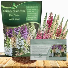 1 LB Foxglove Seed - Digitalis Purpurea Excelsior Mix Wildflower Seeds picture
