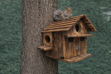 Extra Large Handmade Squirrel House -  Outdoor Nesting Box for Backyard Wildlife picture