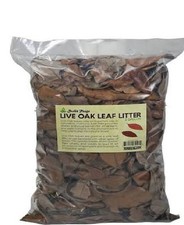 Organic Oak Leaf Litter Isopods Reptile Terrarium Bedding Heat Treated Leaves picture