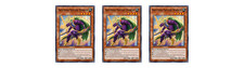 YUGIOH 3x Swiftwind Panther Warrior BETB-EN001 Super Rare presale ships 10/9 picture