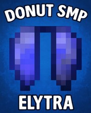 🔵 DonutSMP 💎 Elytra ✅ Cheapest & Fast Delivery┃Minecraft Donut SMP 🍩 picture