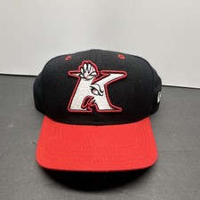 Vintage New Era Kannapolis Intimidators MiLB Snapback Hat Size M/L Made In USA picture