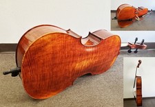 Professional  Level 4/4 Cello W/ Larsen A & D, Spirocore  G.C  /  picture