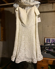 David's Bridal Ivory Lace V-Neck Short Sleeve Sheath Dress Above Knee 12 picture