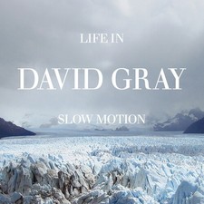 David Gray - Life in Slow Motion (20th Anniversary Edition) Blue [New Vinyl LP] picture