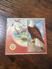 Rare 1890 N37 Birds America American Eagle Birds Gorgeous Color Scarce Grail picture