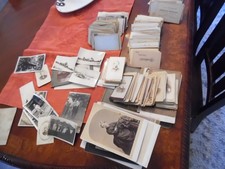 400+ cdvs cabinet cards photos picture