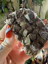 Calcite Crystal Cluster w/Rainbow Chalcopyrite – Hubei Province, China - .185lbs picture