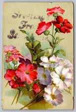 1908 Embossed Floral Primrose Flowers Greetings From Missouri Vintage Postcard picture