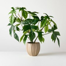 Large Philodendron Pedatum Artificial Plant - Hearth & Hand with Magnolia picture