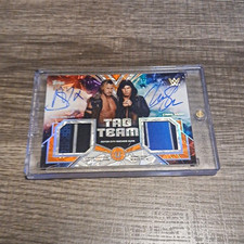 WWE Tag Team Dual Autograph Relic Memorabilia Card Ciampa Chris Sabin 7/25 picture