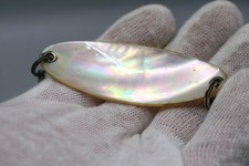 Fantastic Abalone 