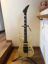 [Rare] FERNANDES STJ-75 picture