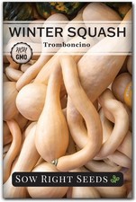 Sow Right Seeds - Tromboncino Rampicante Squash for Planting - Tan picture