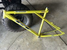 GT Rebound Frame Mountain Bike picture