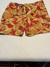 Nat Nast Men's Swimming Trunks XXL picture