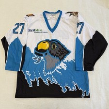 Vintage Springfield Falcons AHL 27 Hockey Jersey Size M Size 48 Canada picture