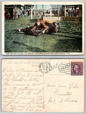 Chickamauga Park Chattanooga Tennessee 11th Cavalry Military Postcard picture