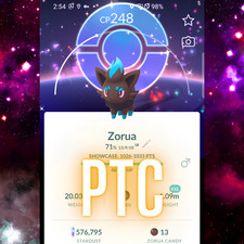 Pokémon Shiny Zorua Special BG XXL | mini PTC | Go ✨ picture