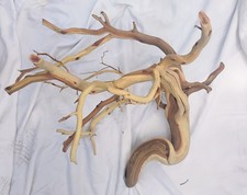 XL Manzanita Full Tree Cleaned & Sanded Home / Aquarium / Reptile Decor picture
