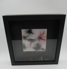 DEANO SERKES SHADOW BOX ART AFFECTS FISHING LURE PRINT 10
