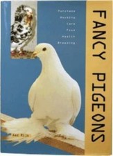 Fancy Pigeons By Aad Rijs picture