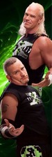WWE WRESTLEMANIA 41 2’x6’ TALL VINYL BANNER - NEW AGE OUTLAWS picture