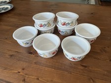SET OF 8-Corelle Coordinates CHUTNEY FRUIT Stoneware Ramekins 7 oz. BOWLS picture