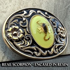 Western Scorpion Belt Buckle Real Scorpion Resin Glow in Dark. For 1.5