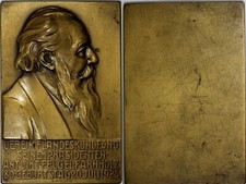 AUSTRIA Medal Plaque 1925 by L.Hujer Anton Viktor Felgel-Farnholz 81.88 g. (067) picture