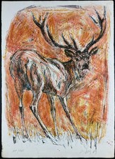 Fritz Rudolf Hug Stag Deer Signed Lithograph 104/175 1969 Wildlife Art picture