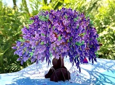 3D Pop Up Greeting Card Jacaranda Flower Floral Birthday Thank You Valentine Mom picture