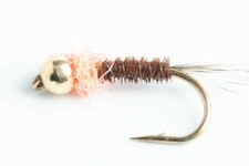 Tungsten BH Frenchie Nymph Fly, 6-Pack picture