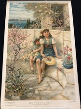 Original 1910 Butterflies - A Decorative Panel. Antique Art Print picture