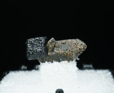 Brookite on Smoky Quartz / Moses Hill, Magnet Cove, Arkansas / Thumbnail Perky B picture