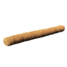 Sandbaggy 12